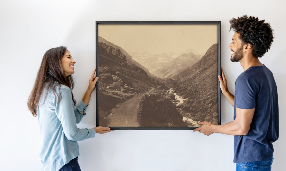 Vicomte Joseph de Vigier