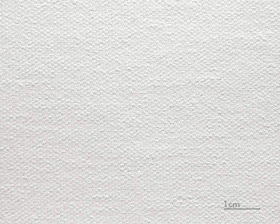 Canvas Raphael (matt)