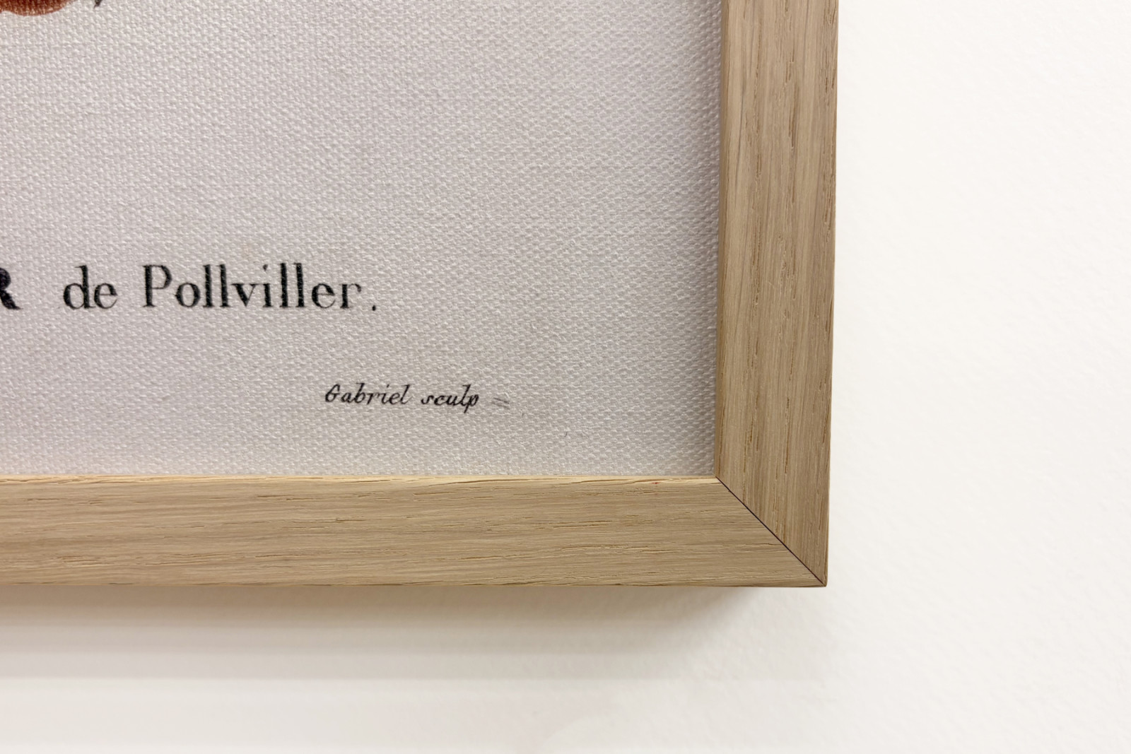 Poirier de Pollviller - i "" New Duhamel du Monceau eller avhandling om träd och buskar som odlas i Frankrike"", figurer enligt ritningarna av P.J. Redoute och P. Bessa, Paris - Pierre Joseph (after) Redoute