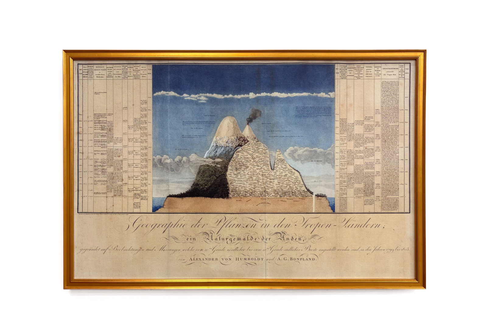 Växternas geografi i tropiska länder, en studie av Anderna, tecknad av Schoenberger och Turpin, tryckt av Langlois, Paris - Baron Friedrich Alexander von Humboldt