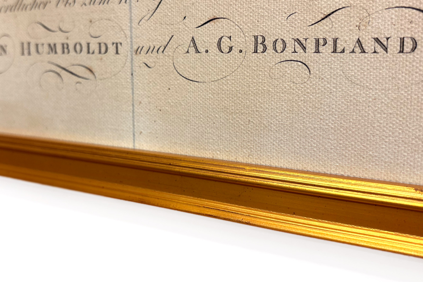 Växternas geografi i tropiska länder, en studie av Anderna, tecknad av Schoenberger och Turpin, tryckt av Langlois, Paris - Baron Friedrich Alexander von Humboldt