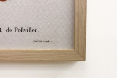 Poirier de Pollviller - i "" New Duhamel du Monceau eller avhandling om träd och buskar som odlas i Frankrike"", figurer enligt ritningarna av P.J. Redoute och P. Bessa, Paris