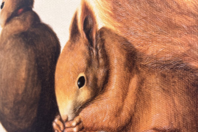 Ekorrar, 1512 (tempera på pergament)
