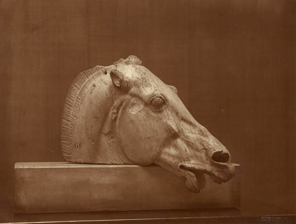 [Hästhuvud från Parthenons fronton, British Museum] av Adolphe Braun
