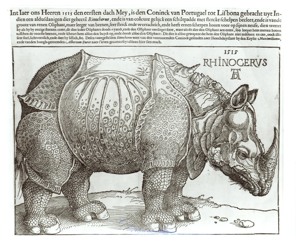 Noshörning, tryck ges till Maximilian I (1459-1519) av kungen av Lissabon (1495-1521), 1515 av Albrecht Dürer