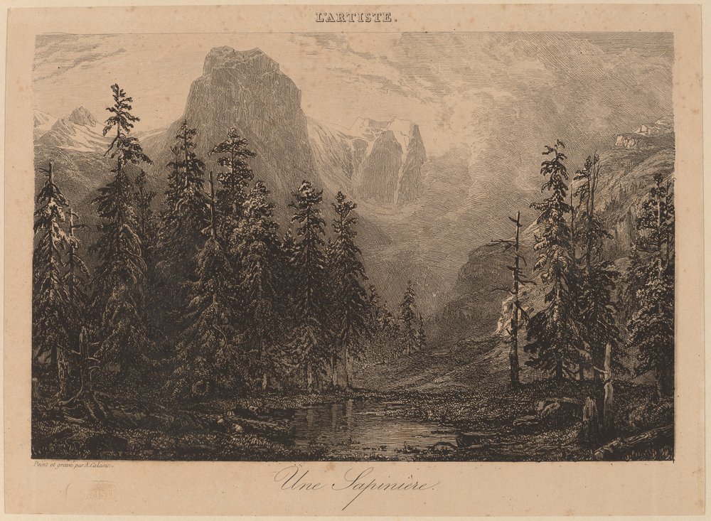 En gran av Alexandre Calame