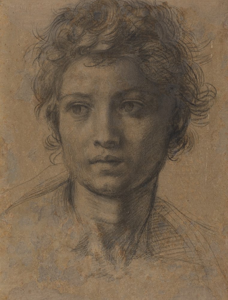 Huvud för Johannes Döparen av Andrea del Sarto
