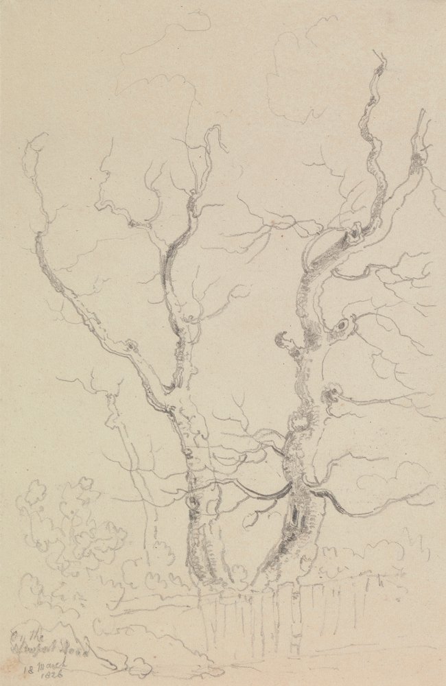 På Newport Road, Isle of Wight av Capt. Thomas Hastings