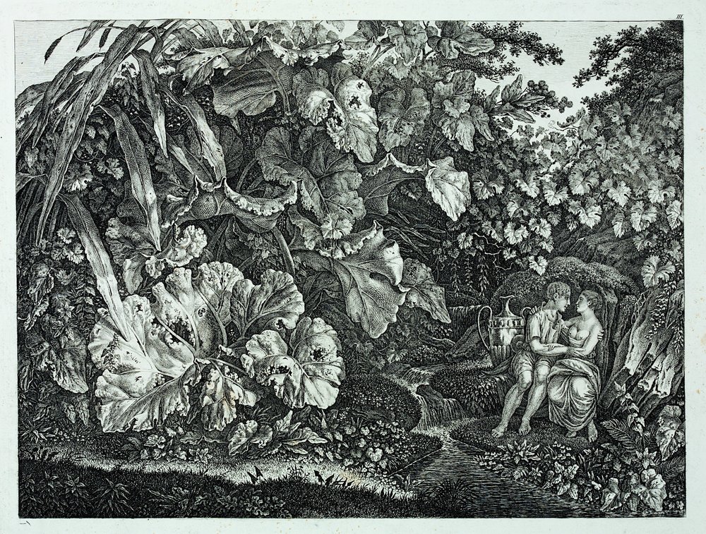 Tyska: Älskande i en grotta, omgiven av växter och örter Älskande i en grotta, omgiven av växter och örter av Carl Wilhelm Kolbe