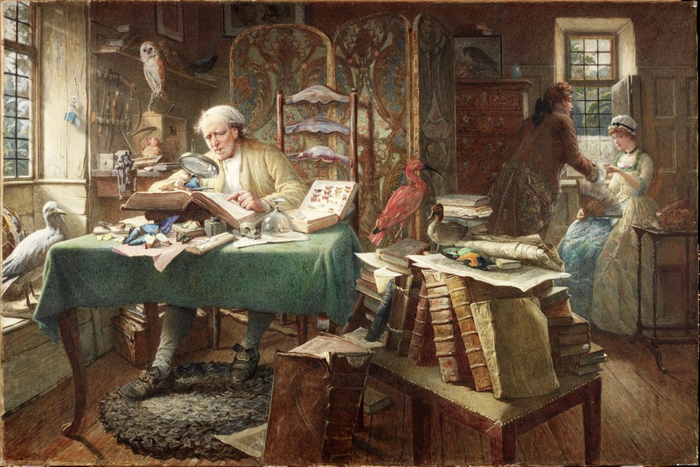 Larver och fjärilar (akvarell på papper) av Charles J. Staniland