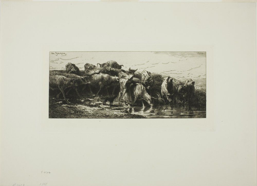 Kor som dricker från floden av Charles Emile Jacque