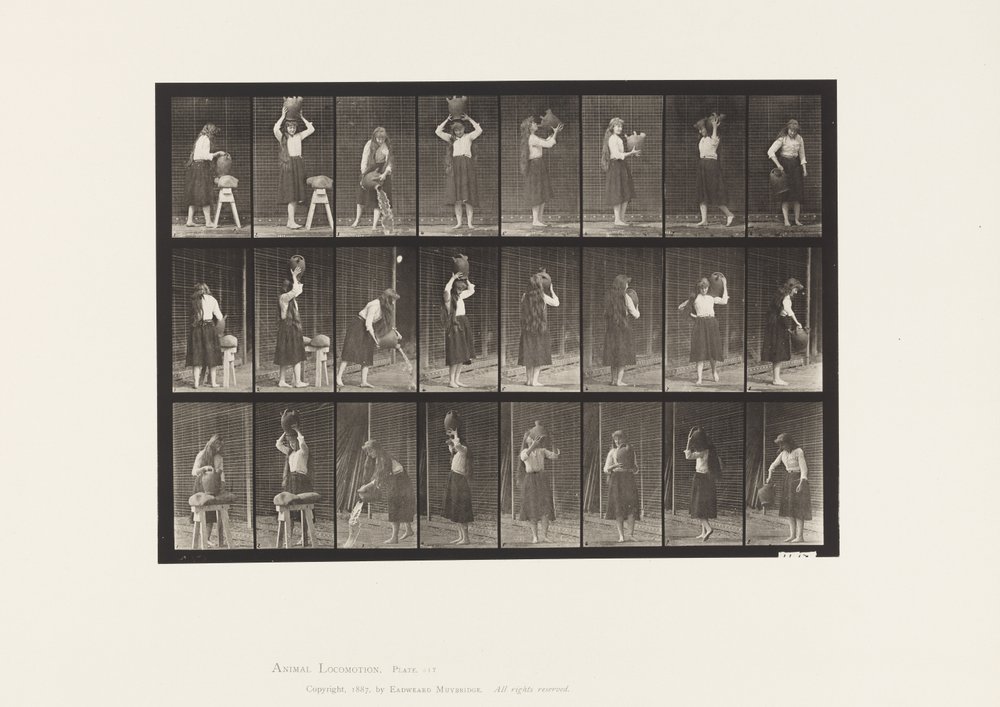 Tallrik 517. Diverse rörelser med vattenburk av Eadweard Muybridge