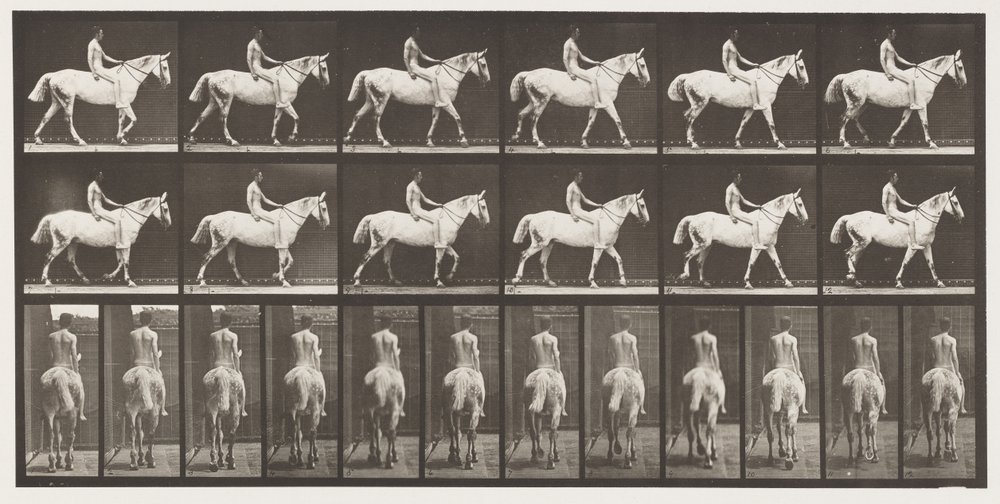 Tavla 581.Walking;Bareback;Rider,43, Naken; Ljusgrå häst Smith, 1885 av Eadweard Muybridge