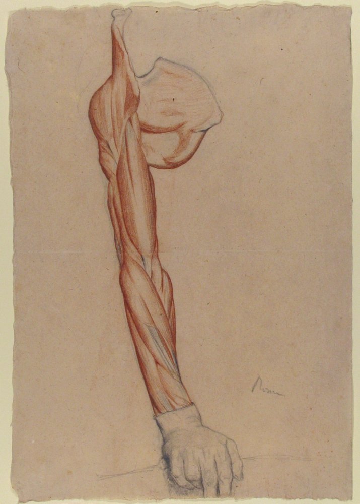 Écorché: höger arm och skulderblad med intakt höger hand av Edgar Degas