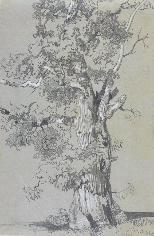 Parham, 13 oktober 1834 (grafit med vit gouache på brunt vävt papper) av Edward Lear