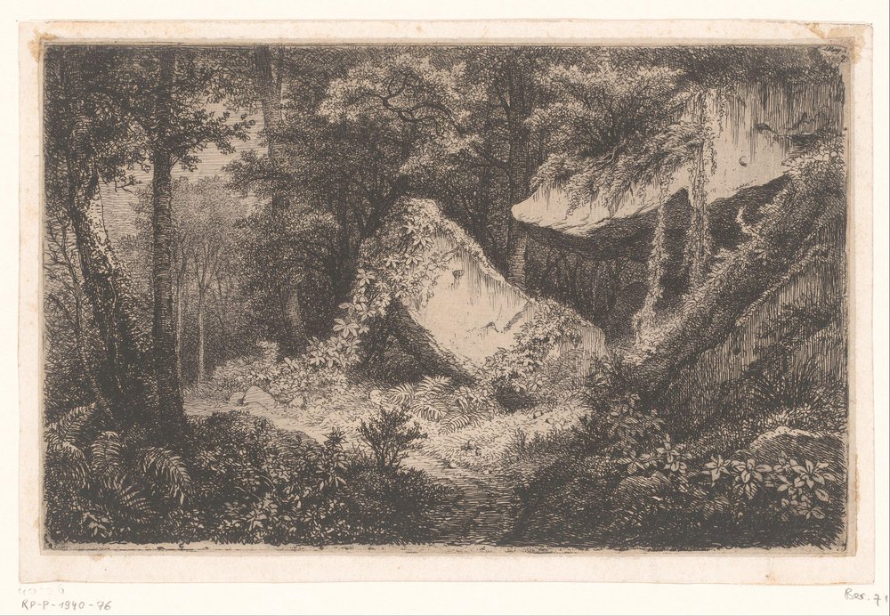 Beväxande rotsen i en bos The White Rocks Svit med 8 etsningar graverade på naturen nära Dampierre av Eug. Bléry (serietitel) av Eugene Bléry