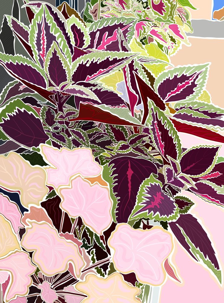 Fönsterlåda med Coleus och Coral Bells, 2025 (digital konst) av Evan Sklar