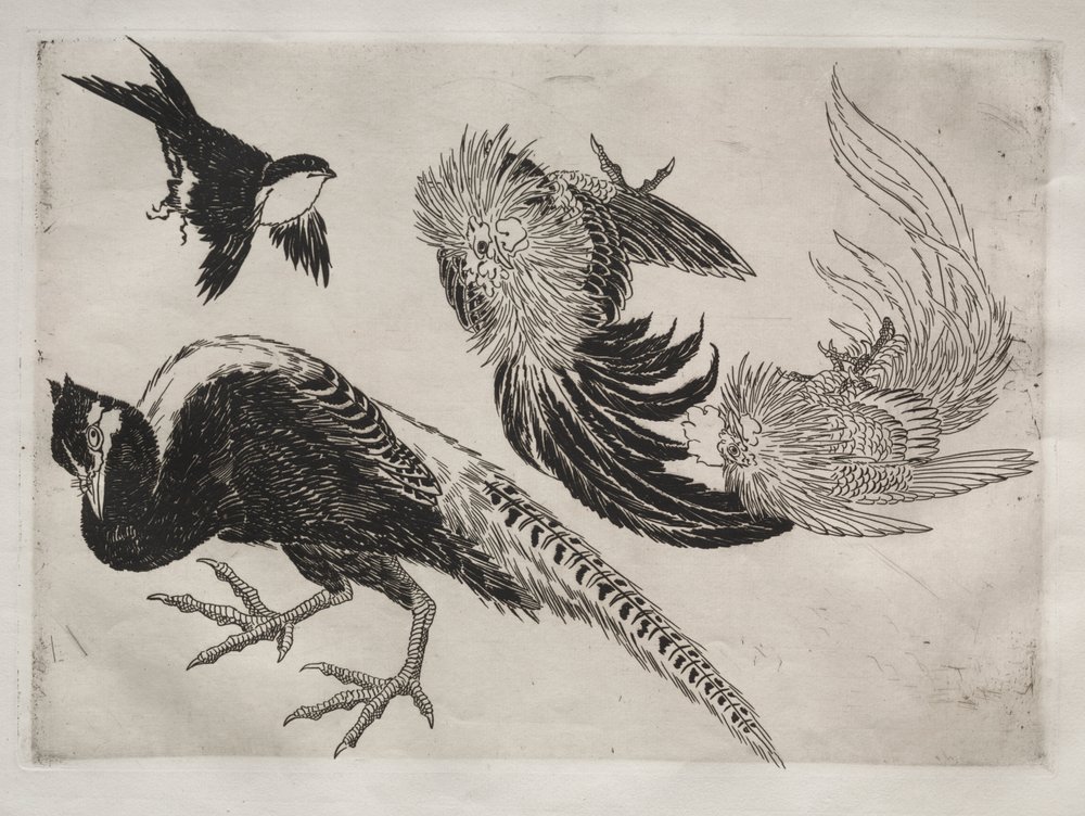 Middagsservering (Rousseau-servering): Fasaner och fågel (nr 18) av Felix Bracquemond
