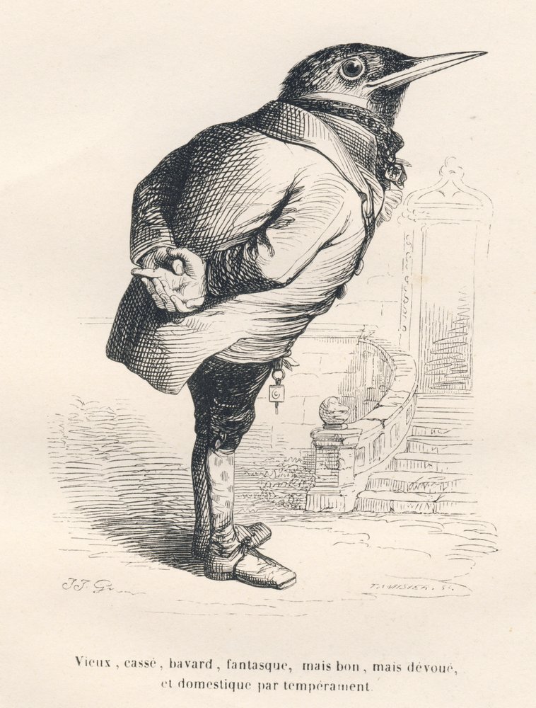 Merle "gammal, trasig, pratsam, nyckfull men bra men hängiven och inhemsk av temperament". Miniatyrer illustrerade av JJ Granville. Gravyr signerad Tamisier i delen med titeln "Memories of an old crow" skriven av PJ Stahl i "Scenes de la vie" av Grandville