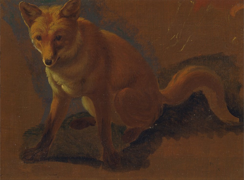 Studie av en räv av Jacques-Laurent Agasse