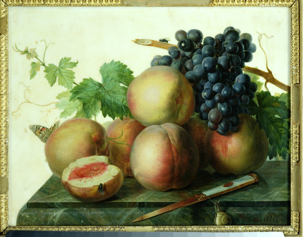 Stilleben med persikor och vindruvor på marmor av Jan Frans van Dael