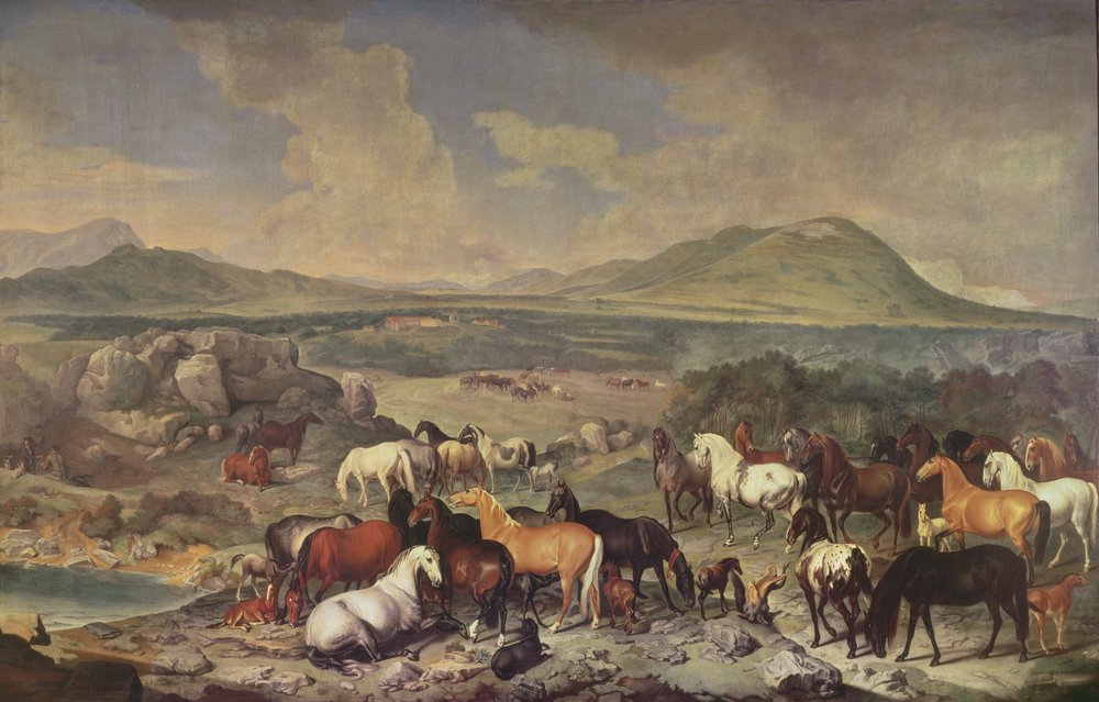 Det kejserliga stuteriet med lipizzanerhästar av Johann Georg Hamilton