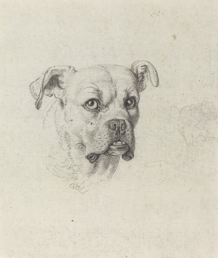 En boxare av Johann Heinrich Wilhelm Tischbein