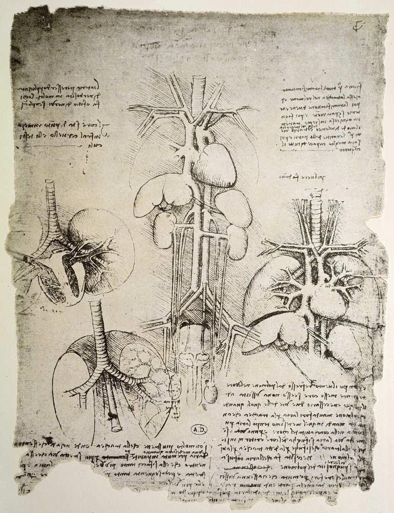 The Heart and the Circulation, faksimil av Windsor-boken (penna och bläck på papper) av Leonardo da Vinci