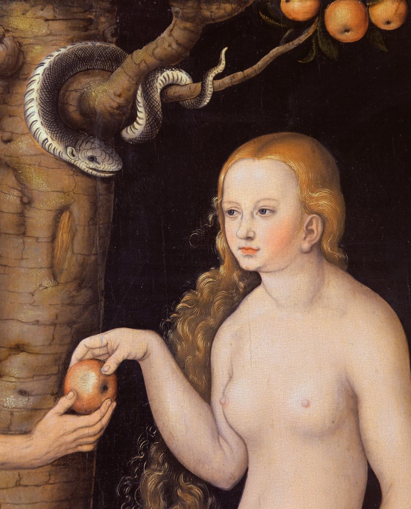 Eva erbjuder äpplet till Adam i Edens lustgård och ormen, ca 1520-25 olja på trä detalj av 407328 av Lucas Cranach the Elder