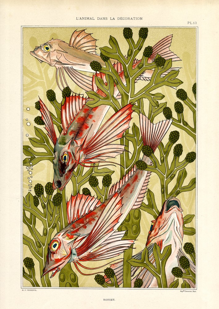 Stiliserad fisk bland havsväxter (litografi) av Maurice Pillard Verneuil