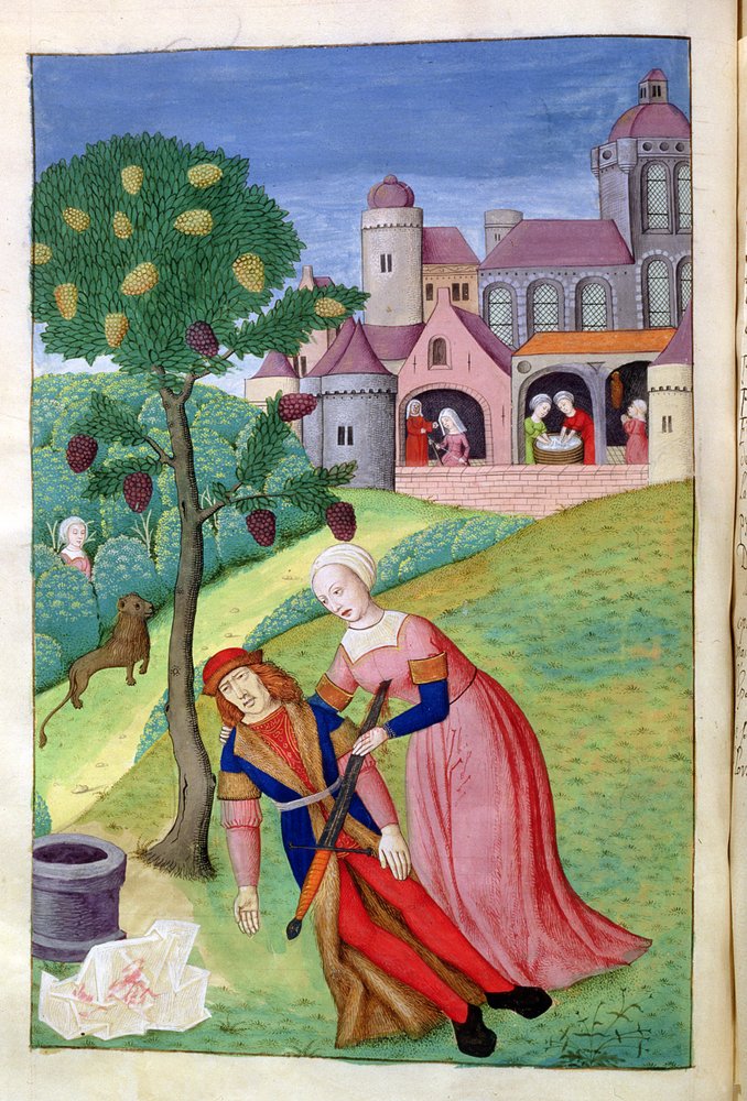 Ms. 324 f. 44v. Alkithoe, Pyramus och Thisbe, mullbärsträdet ändrar färg, ur Ovidius Metamorfoser, 1479 av Netherlandish School