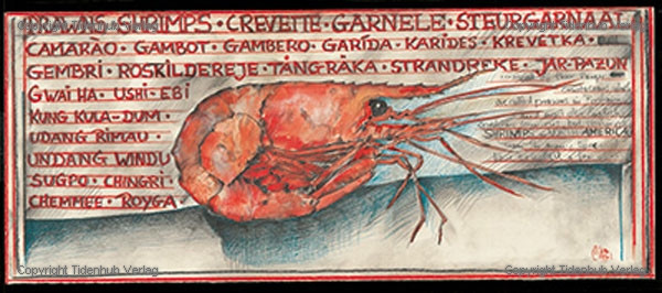 Räkor av Ole West