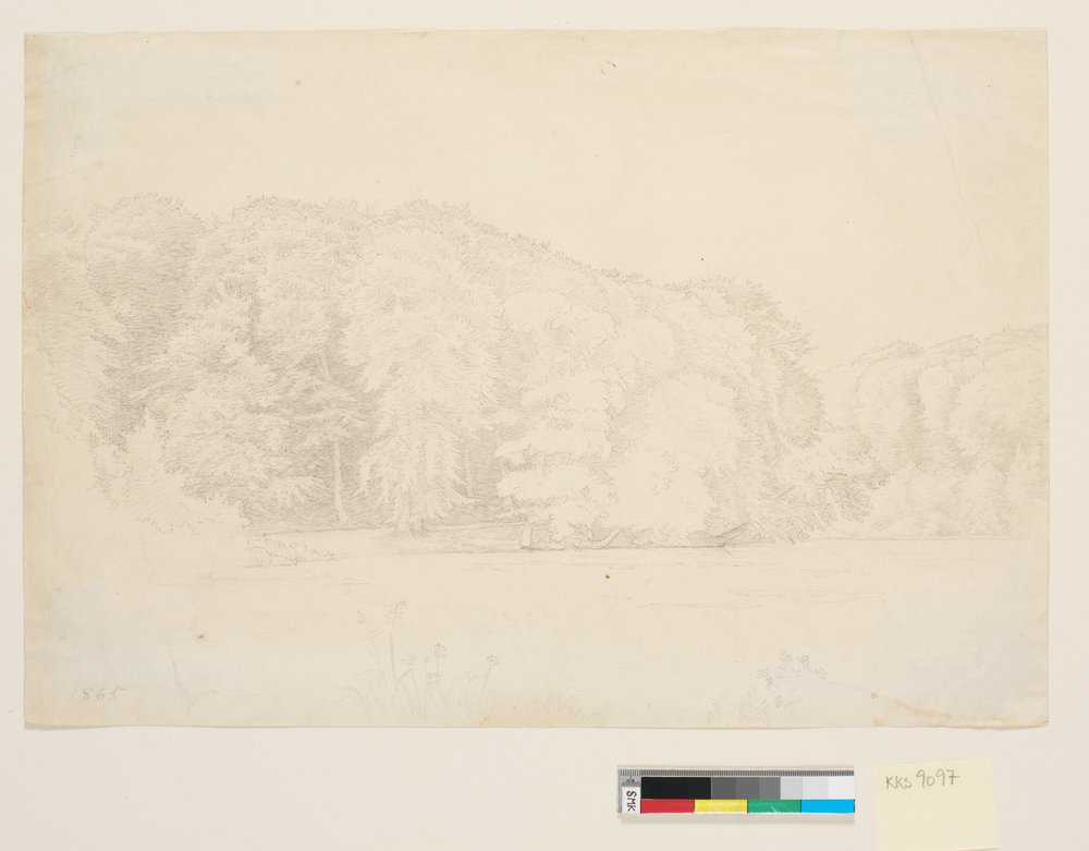 Skovsø med stora bokträd i bakgrunden. av P.C. Skovgaard
