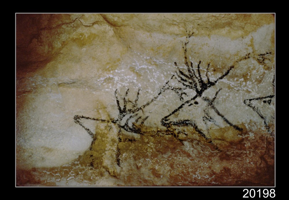 Fris av rådjur, c.17000 f.Kr av Prehistoric