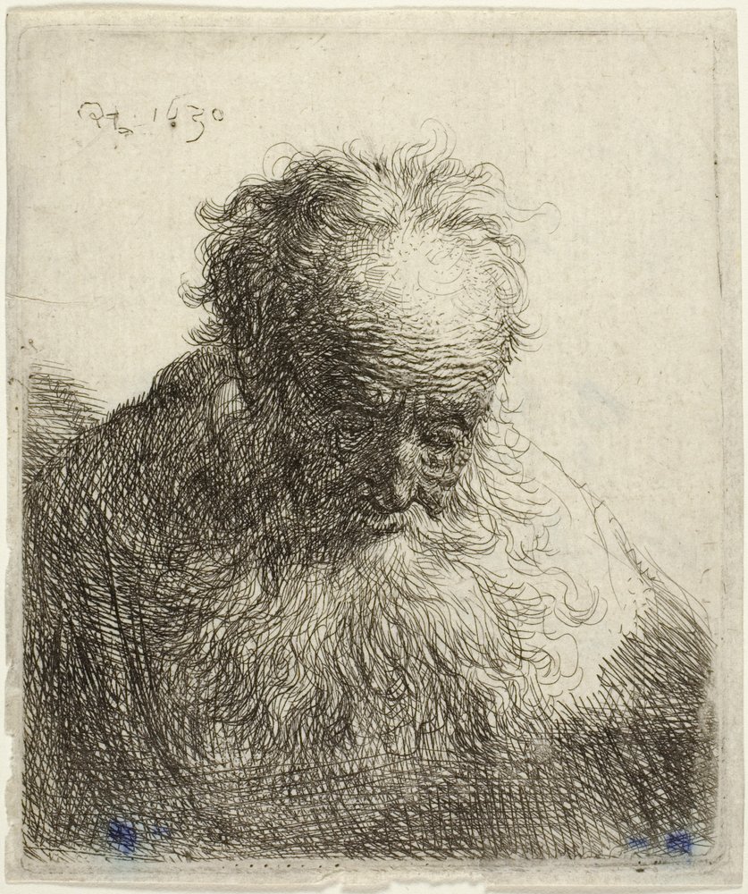 Byst av en gammal man med böljande skägg: huvudet böjt framåt: vänster axel utan skuggning av Rembrandt van Rijn