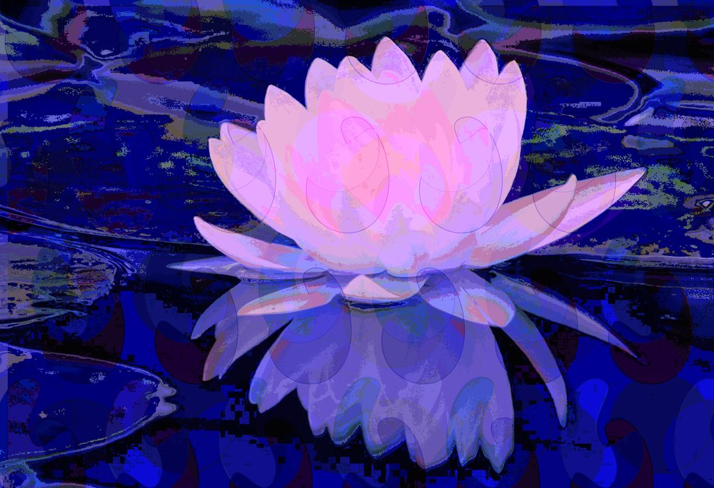 Rosa näckros (digital) av Scott J. Davis