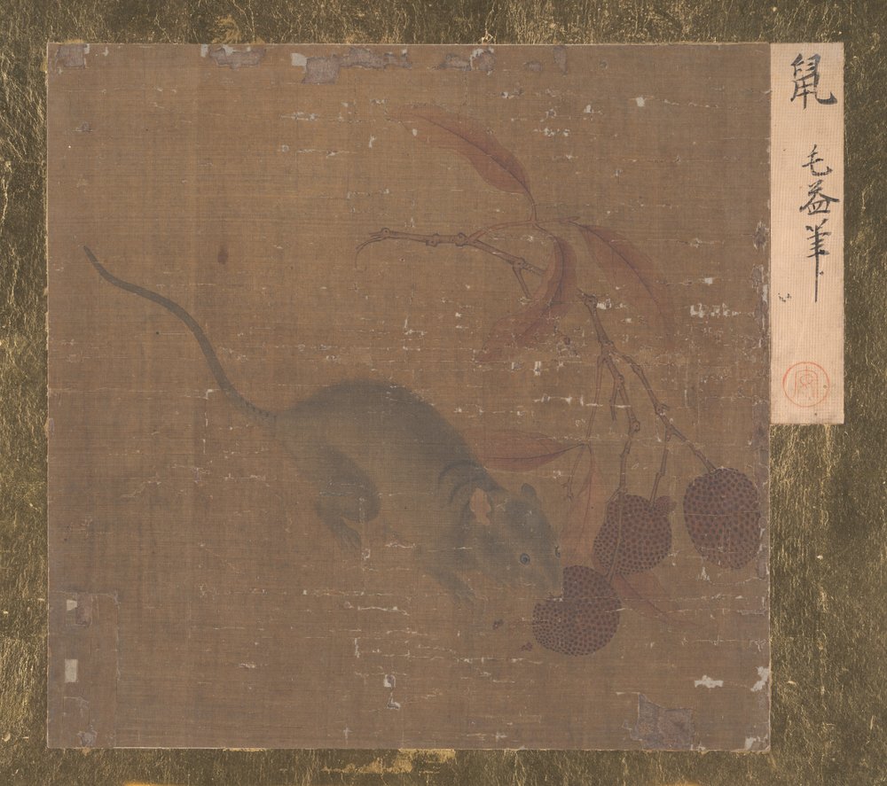 Mouse Eating Lichee Fruit (albumblad; tusch och färg på siden) av Song Dynasty Chinese School