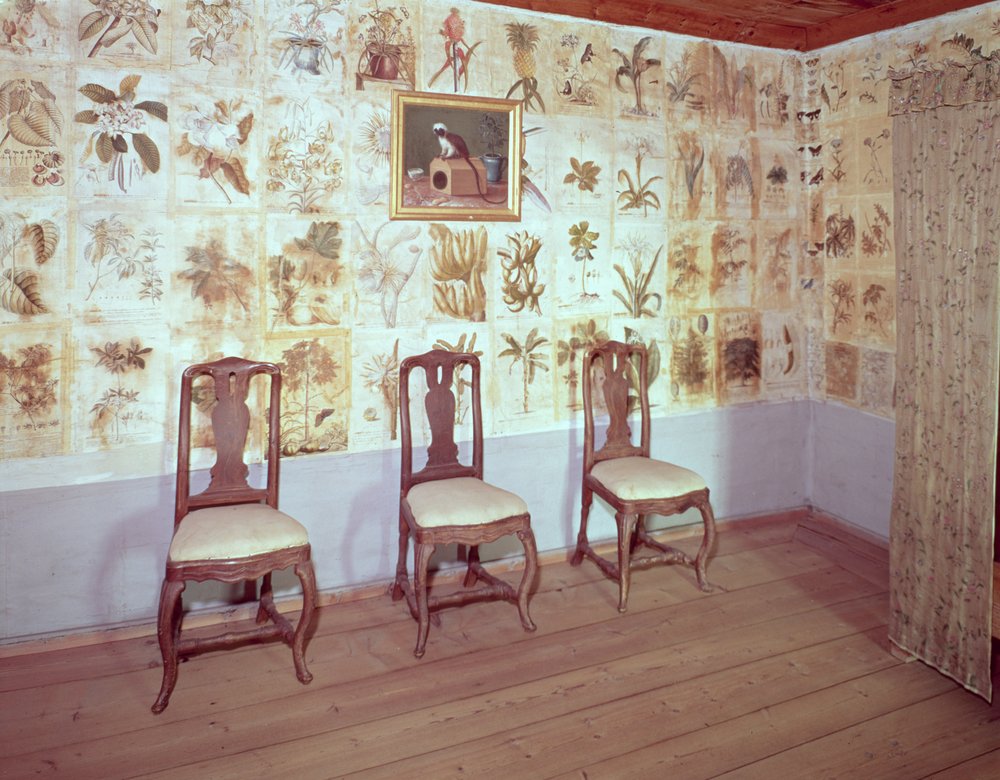Interiör med botanisk tapet av Carl Linnaeus hem, Hammarby, Uppsala, Sverige foto av Unbekannt Unbekannt
