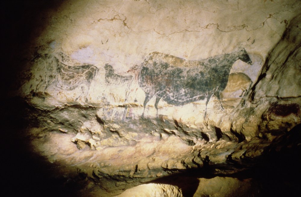Hällmålning av en svart ko, c.17000 f.Kr av Unbekannt Unbekannt