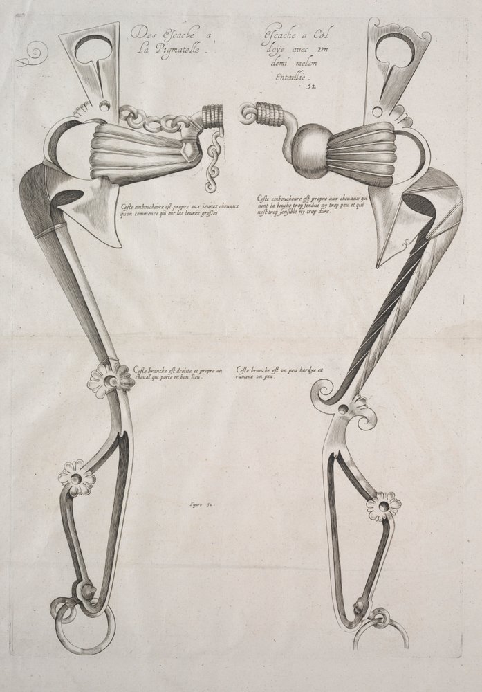 Diagram för hästbett, 1700-tal. av Unbekannt
