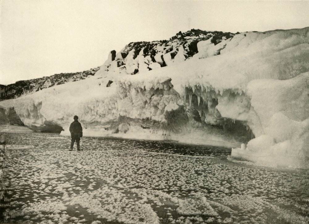 Isblommor på nybildad havsis tidigt på vintern, c1908, 1909. av Unbekannt