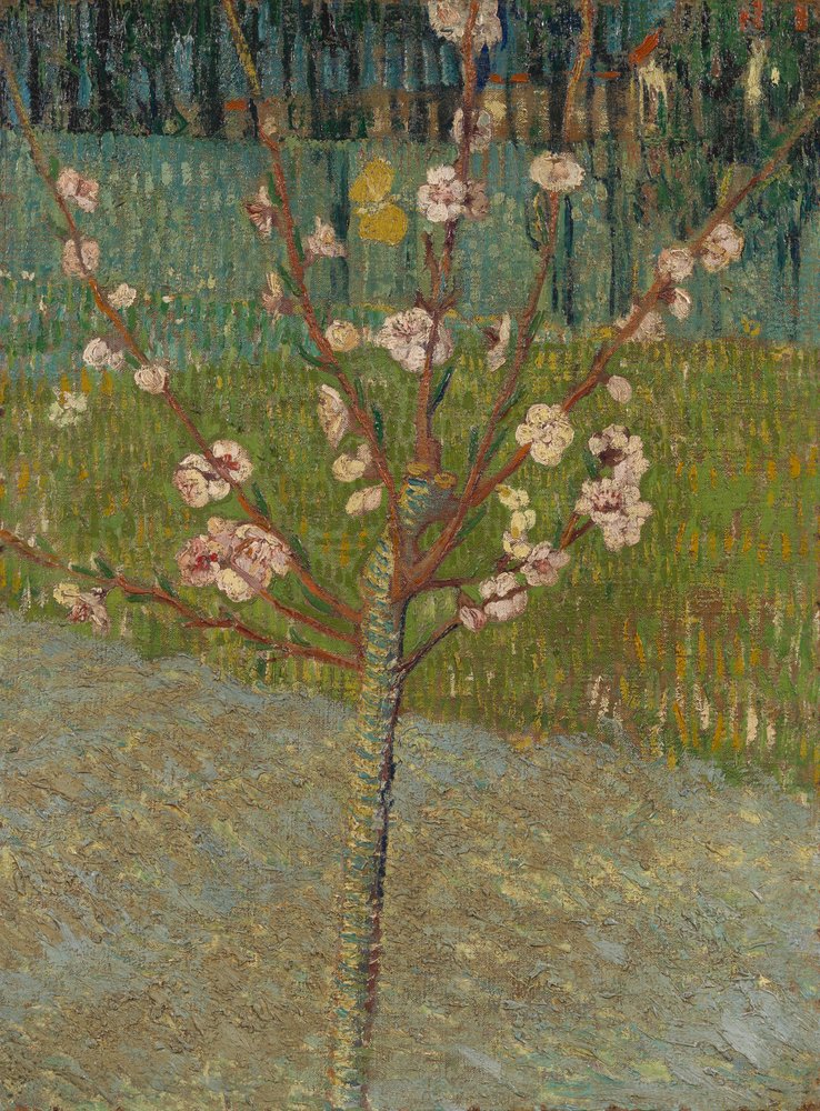 Almond Tree in Blossom av Vincent van Gogh