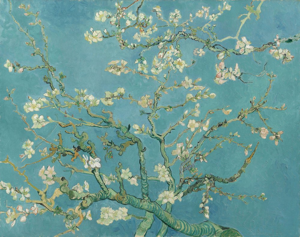 Mandelblom av Vincent van Gogh