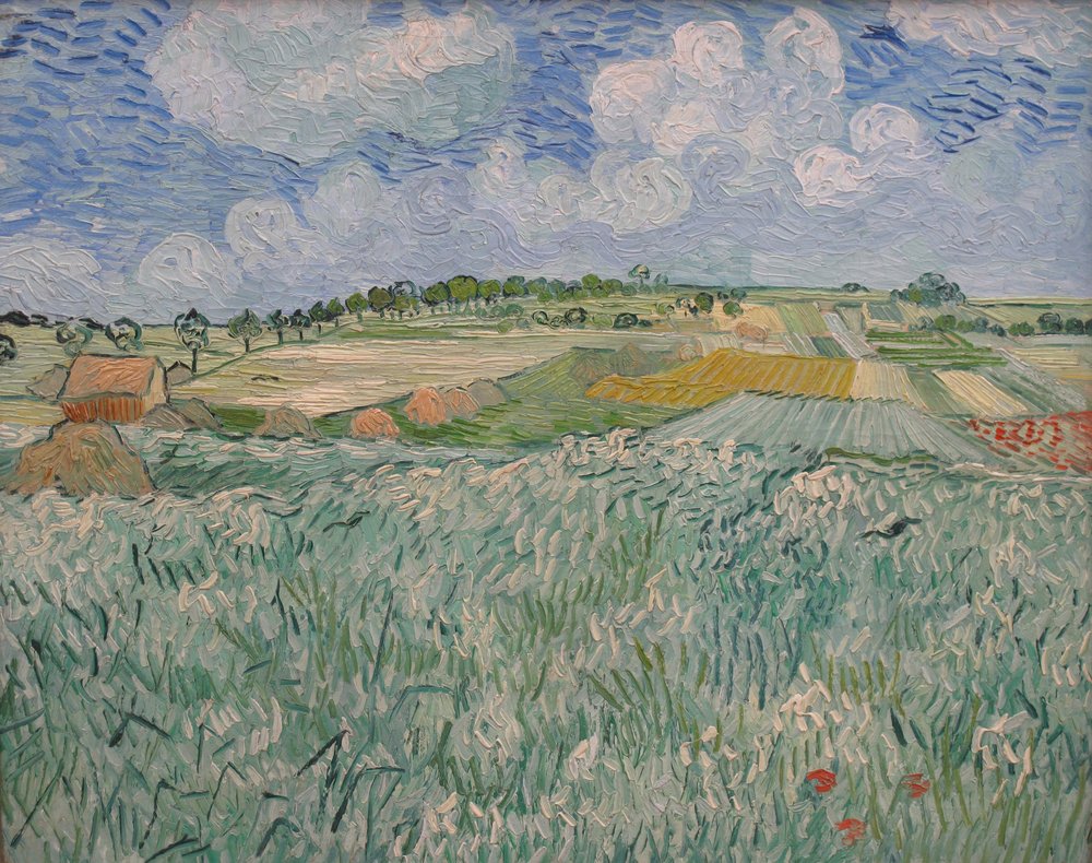 Slätt nära Auvers av Vincent van Gogh