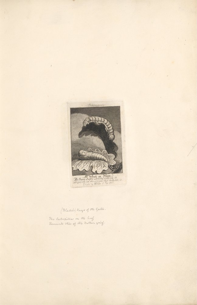 För könen- Paradisets portar, platta 2, Frontispiece, What is Man! av William Blake