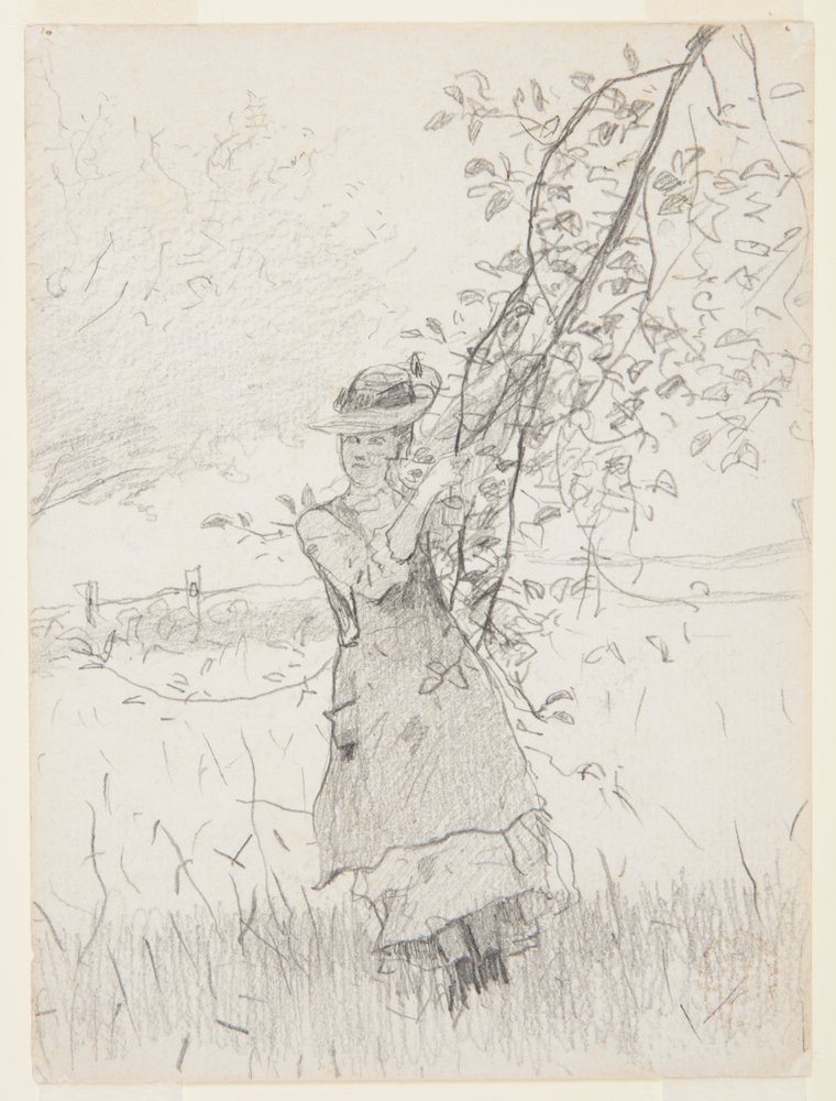 Flicka som håller en gren av ett äppelträd av Winslow Homer