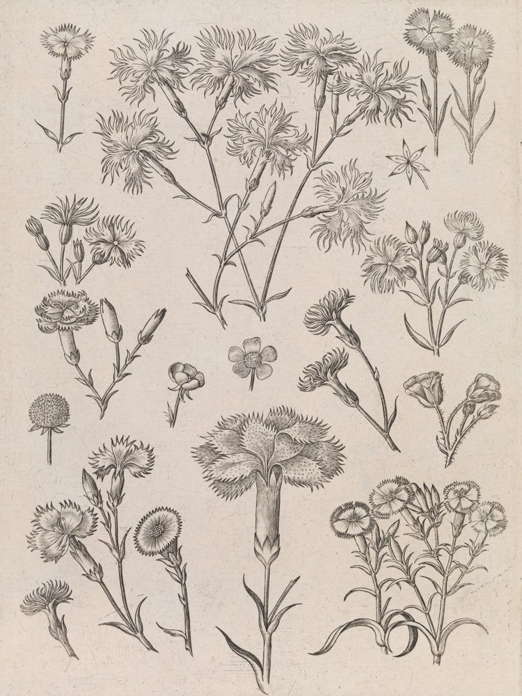  av Adriaen Collaert