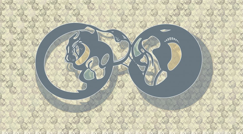 Sammanfattning: Feline Infinity av Alejandra Winkhaus