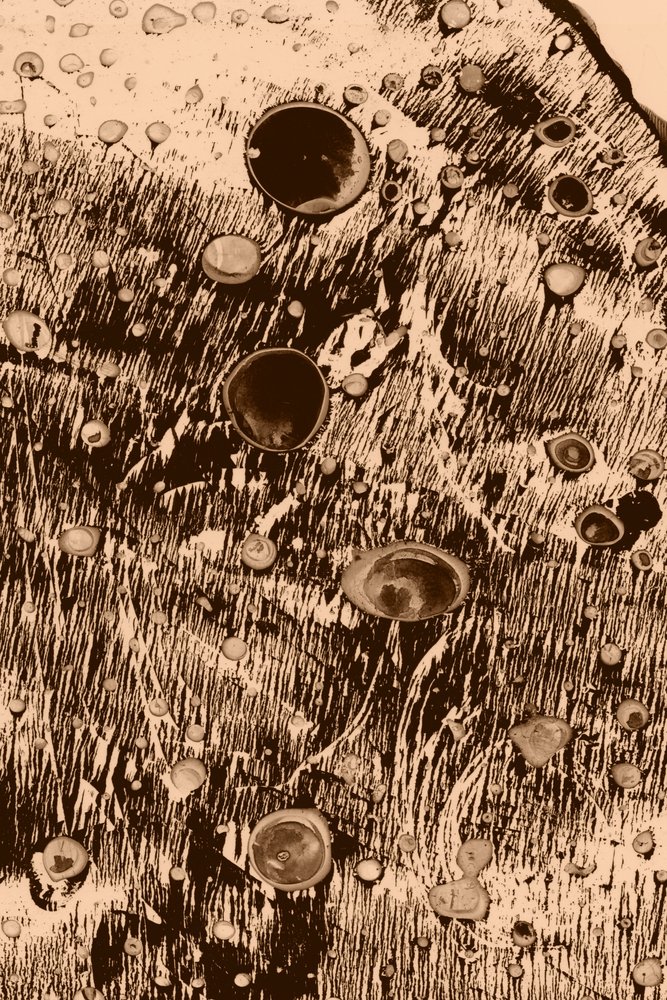 Syre av Alexander Adiels