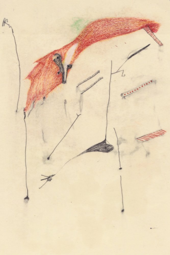 Listig som en räv av Alexander Adiels